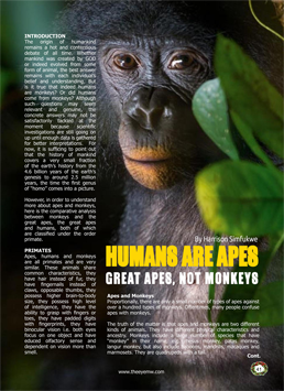 Apes, Monkeys & Humans